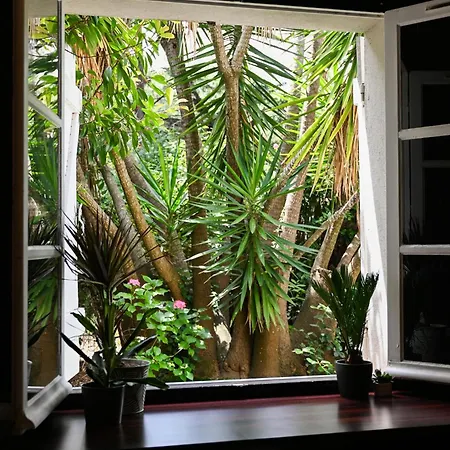 New - 2 Bedroom Garden Escape Saint-tropez * Gassin